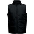 Blouson Regatta Standout