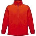 Blouson Regatta Thor III