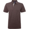 Tee-shirts sur Grenoble : T-shirt Asquith & Fox AQ012