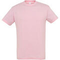 Tee-shirts sur Grenoble : T-shirt Sols Regent