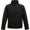 Blouson Regatta Ablaze