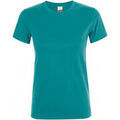 Tee-shirts sur Grenoble : T-shirt Sols Regent