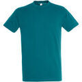 Tee-shirts sur Grenoble : T-shirt Sols Regent