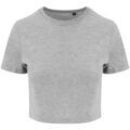 Tee-shirts sur Grenoble : T-shirt Awdis JT006