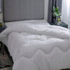 Housses de couettes Belledorm Double BM207