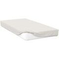Linge de maison sur Grenoble : Taies d'oreillers, traversins Belledorm Double BM289