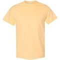 Tee-shirts sur Grenoble : T-shirt Gildan 5000