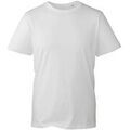 T-shirt Anthem AM10 Grenoble