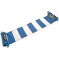 Echarpe Manchester City Fc TA2258