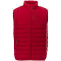 Vestes sur Grenoble : Blouson Elevate Pallas