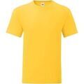 T-shirt Fruit Of The Loom Iconic 150 Grenoble