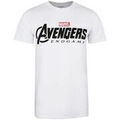 Tee-shirts sur Grenoble : T-shirt Marvel TV1600