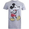 Tee-shirts sur Grenoble : T-shirt Disney TV533