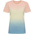 Tee-shirts sur Grenoble : T-shirt Awdis JT022