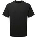 Tee-shirts sur Grenoble : T-shirt Anthem AM015