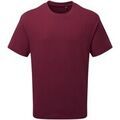 Tee-shirts sur Grenoble : T-shirt Anthem AM015