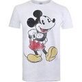 Tee-shirts sur Grenoble : T-shirt Disney TV784