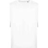 T-shirt Awdis 100