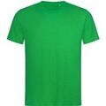 T-shirt Stedman Lux T-shirt Stedman Lux Grenoble