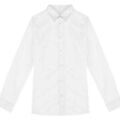 Chemises sur Grenoble : Chemise Native Spirit NS503