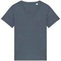 T-shirt Native Spirit NS316 Grenoble