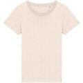 T-shirt Native Spirit NS324 Grenoble