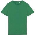 T-shirt Native Spirit NS300 Grenoble