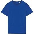 T-shirt Native Spirit NS300 Grenoble