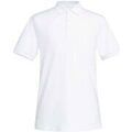 Tee-shirts sur Grenoble : T-shirt Brook Taverner Hampton