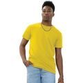 Tee-shirts sur Grenoble : T-shirt Casual Classics AB569