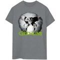 Tee-shirts sur Grenoble : T-shirt Gremlins BI25875