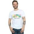 Tee-shirts sur Grenoble : T-shirt Friends They Don't Know Script