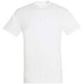 Tee-shirts sur Grenoble : T-shirt Sols Regent