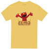 T-shirt Sesame Street Iron On