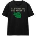 Tee-shirts sur Grenoble : T-shirt Tmnt Mutant Friends