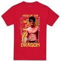 Tee-shirts sur Grenoble : T-shirt Bruce Lee Framed Year of The Dragon