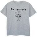 Tee-shirts sur Grenoble : T-shirt Friends BI54234