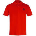 Polo Diesel SY333 Grenoble