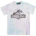 Tee-shirts sur Grenoble : T-shirt Jurassic Park TT298