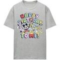 Tee-shirts sur Grenoble : T-shirt Mickey Mouse And Friends Happy Birthday To Me