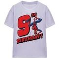 T-shirt Marvel TV25760 Grenoble