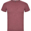 Tee-shirts sur Grenoble : T-shirt Roly Fox