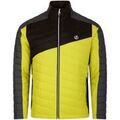 Vestes sur Grenoble : Veste Dare 2b Descending