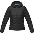 Veste Elevate Nxt Petalite
