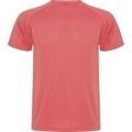 Tee-shirts sur Grenoble : T-shirt Roly Montecarlo