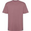 Tee-shirts sur Grenoble : T-shirt Roly Bull