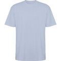Tee-shirts sur Grenoble : T-shirt Roly Bull