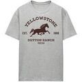 Tee-shirts sur Grenoble : T-shirt Yellowstone Dutton Ranch