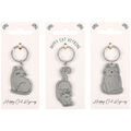 Cadeaux sur Grenoble : Porte cl&eacute; Something Different SD10523 Multicolore