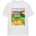 T-shirt Teenage Mutant Ninja Turtles TV27695 Grenoble